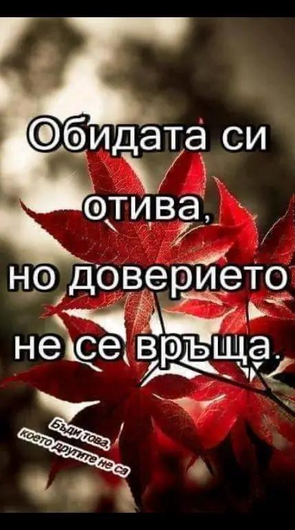 @Milena