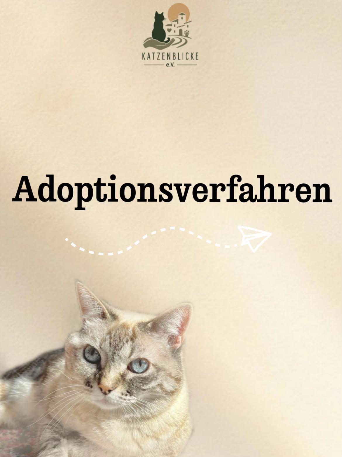 @Katzenblicke e.V.