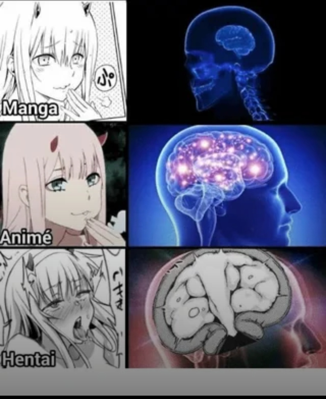 @Hanime Reviewer