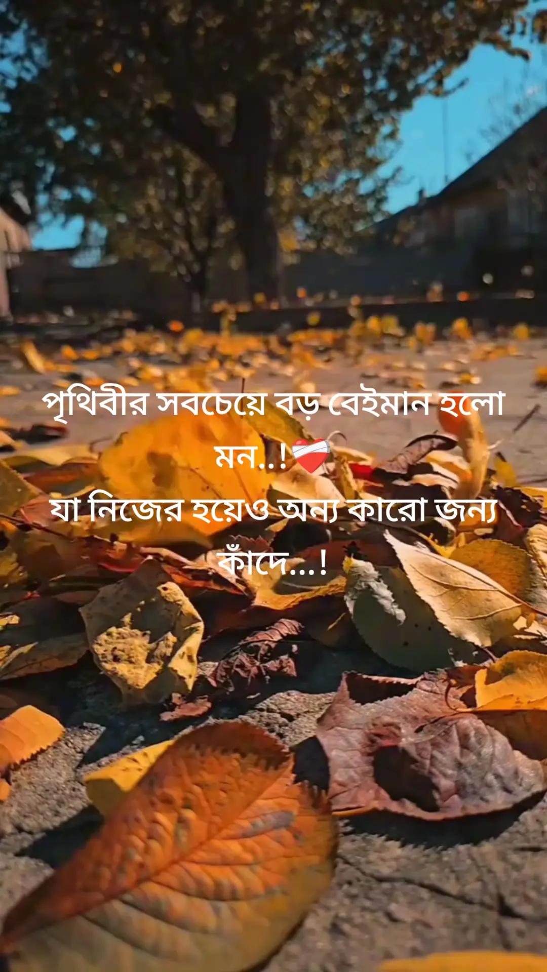 @Nafisa