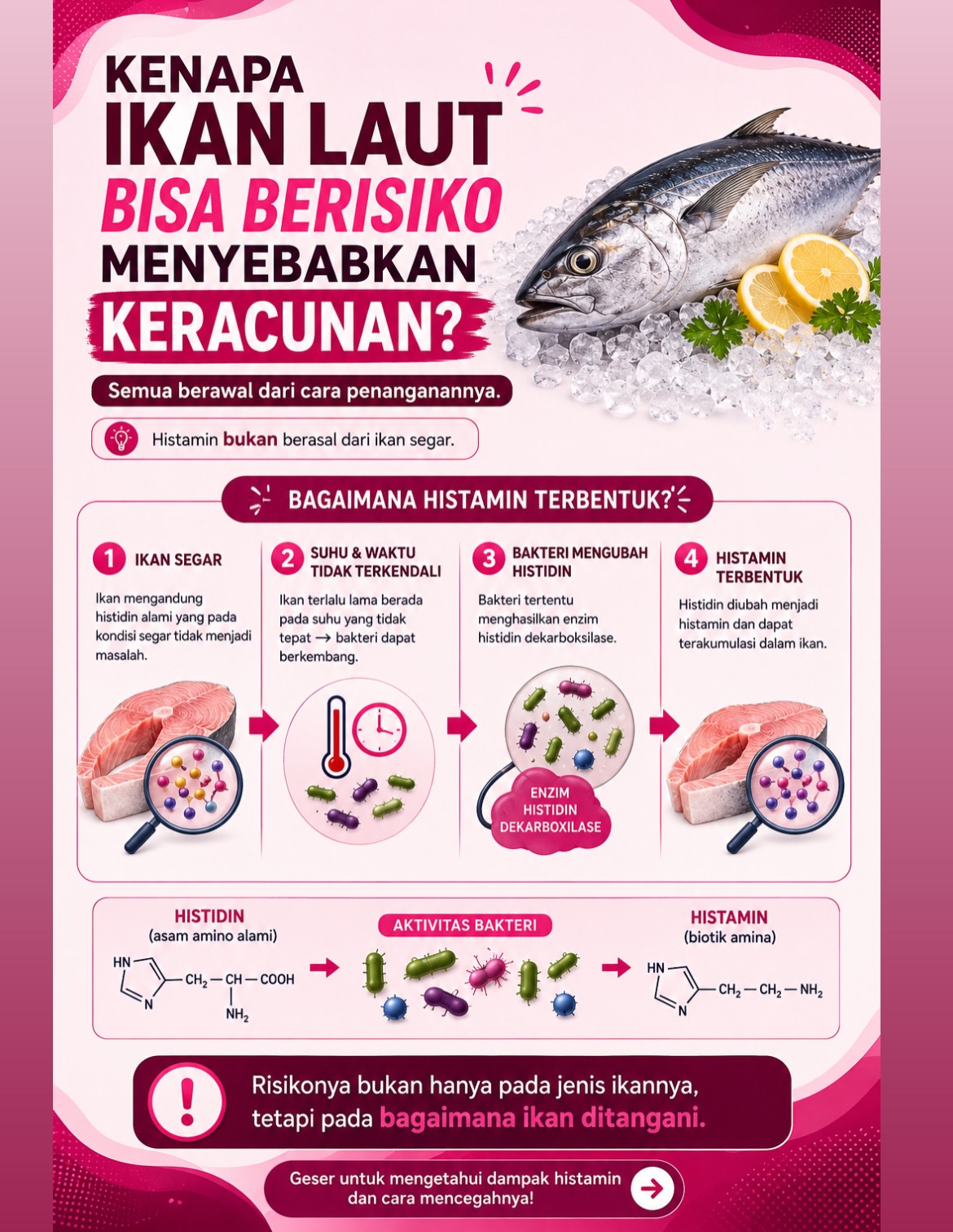 @Gizi Nusantara Official
