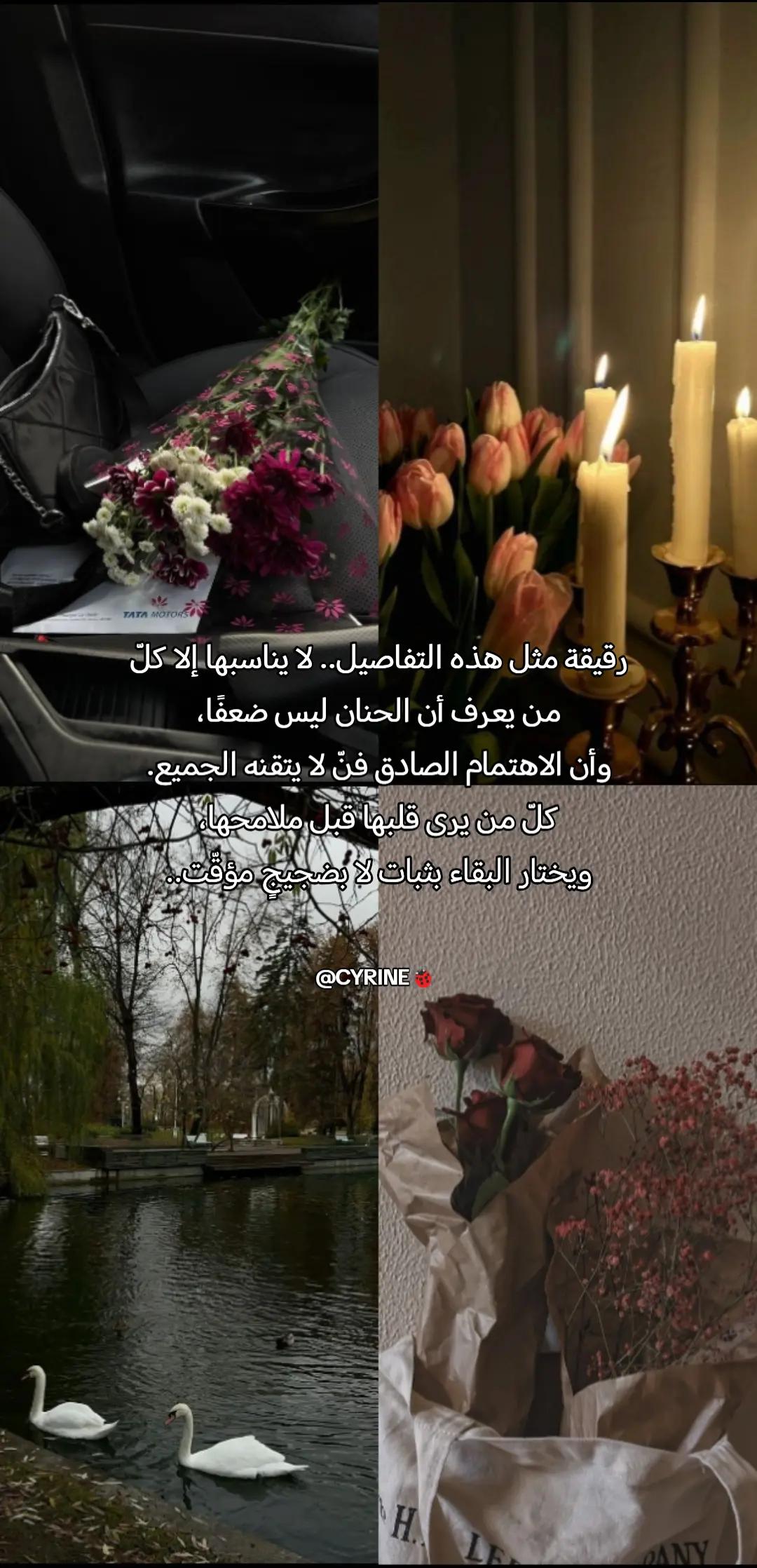 @CYRINE🐞