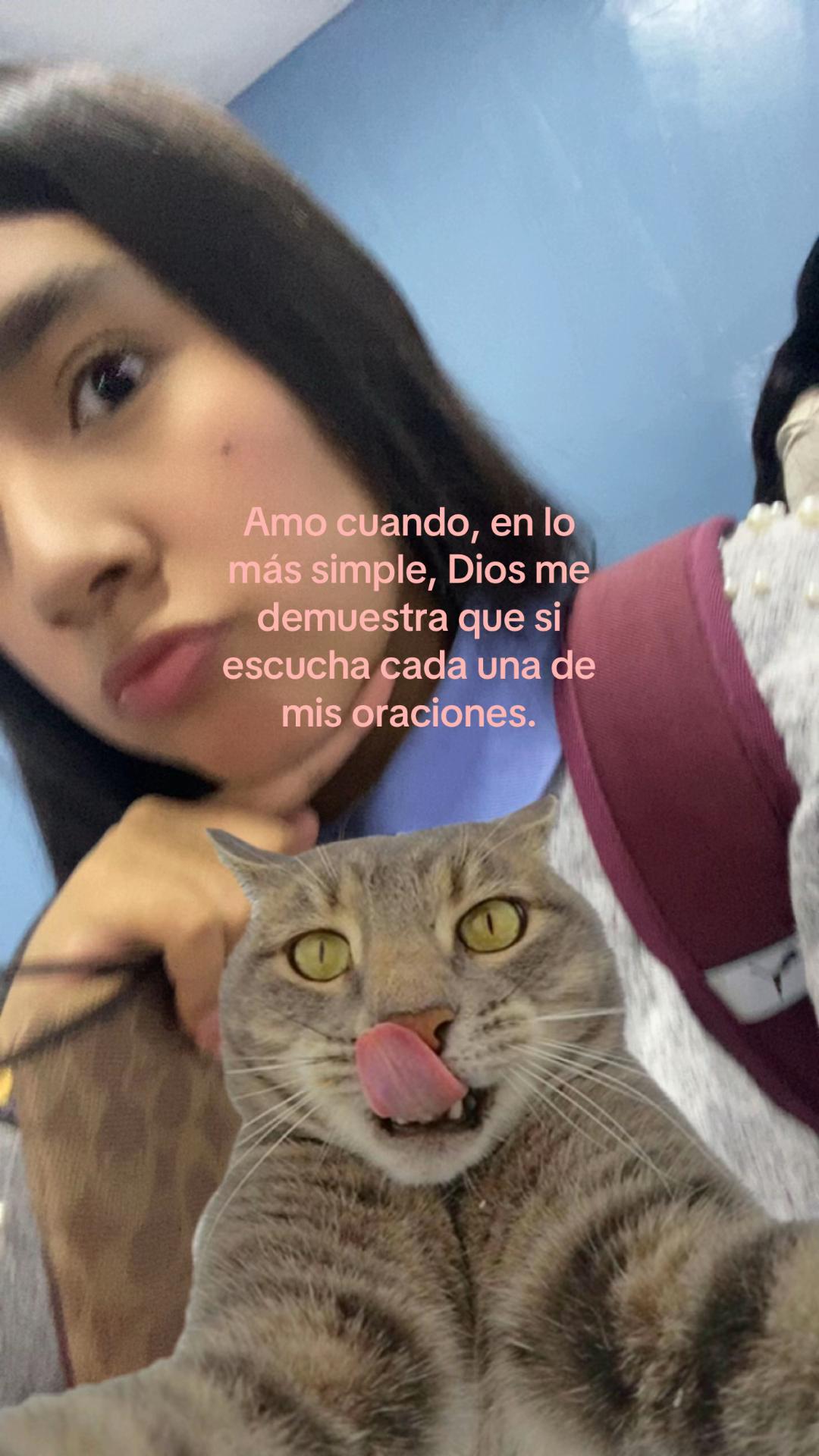 @camiluu
