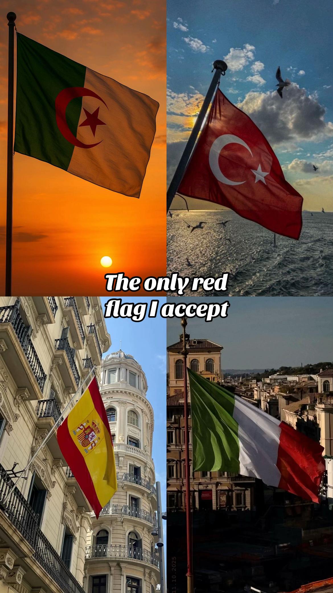 @🪭