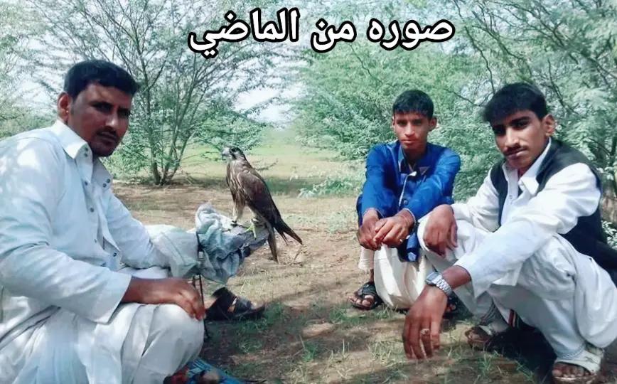 @الشاعر عبيد البطحاني 🇸🇩🇸🇦