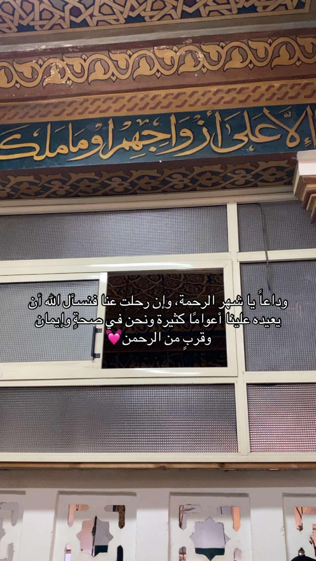 @salmasherif