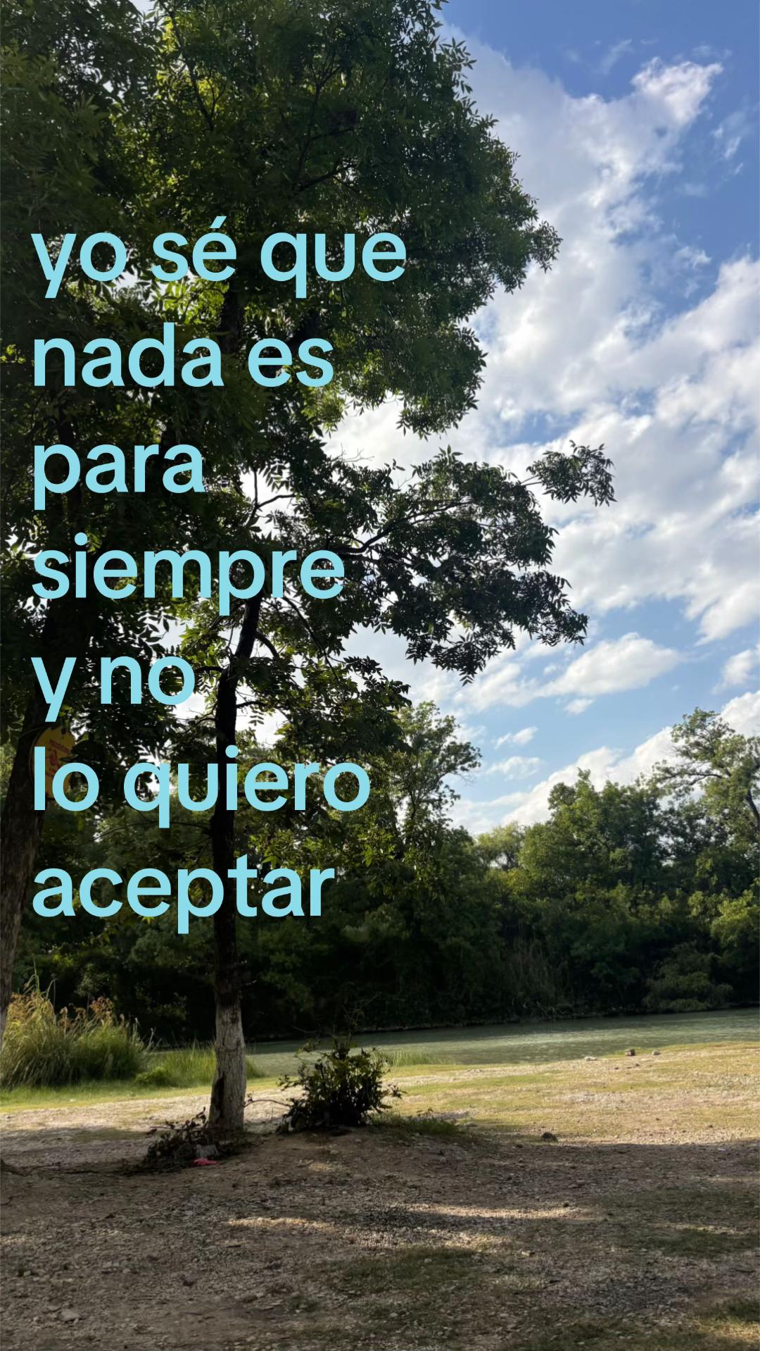 @cammi