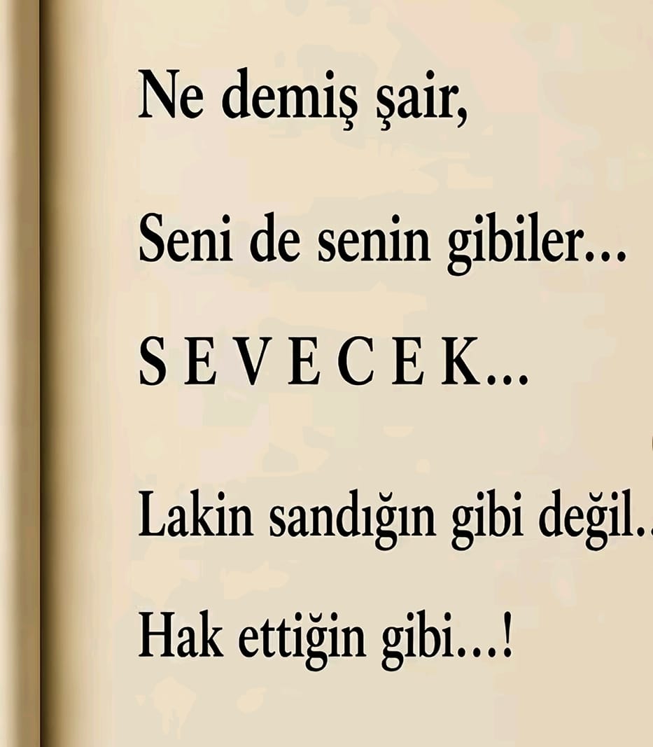 @mecnun