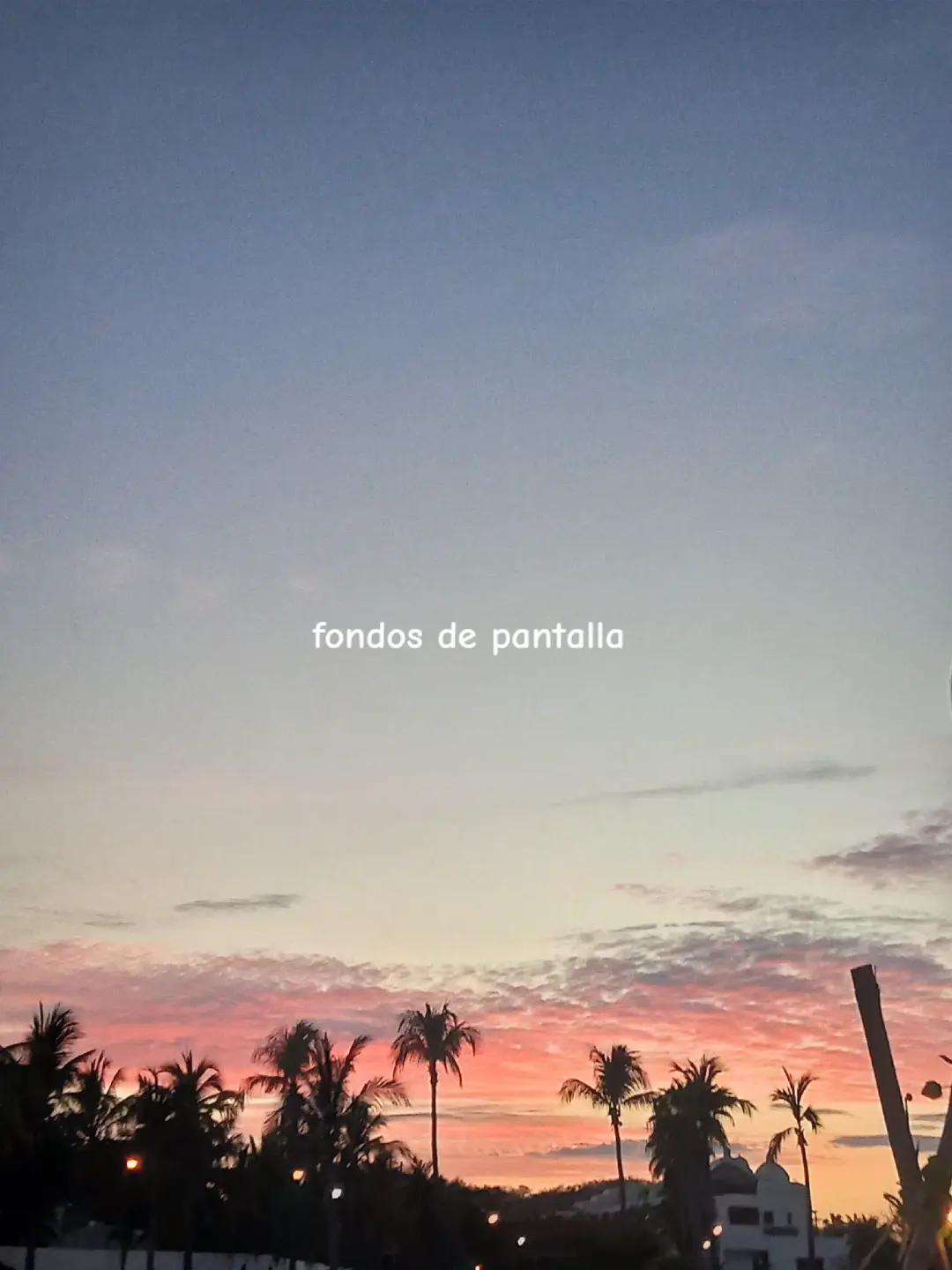 @Joana🌺