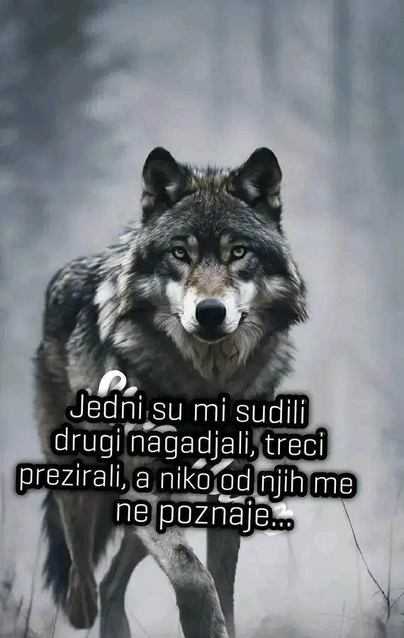 @Dusa andjela_ andjeo💙💔💔