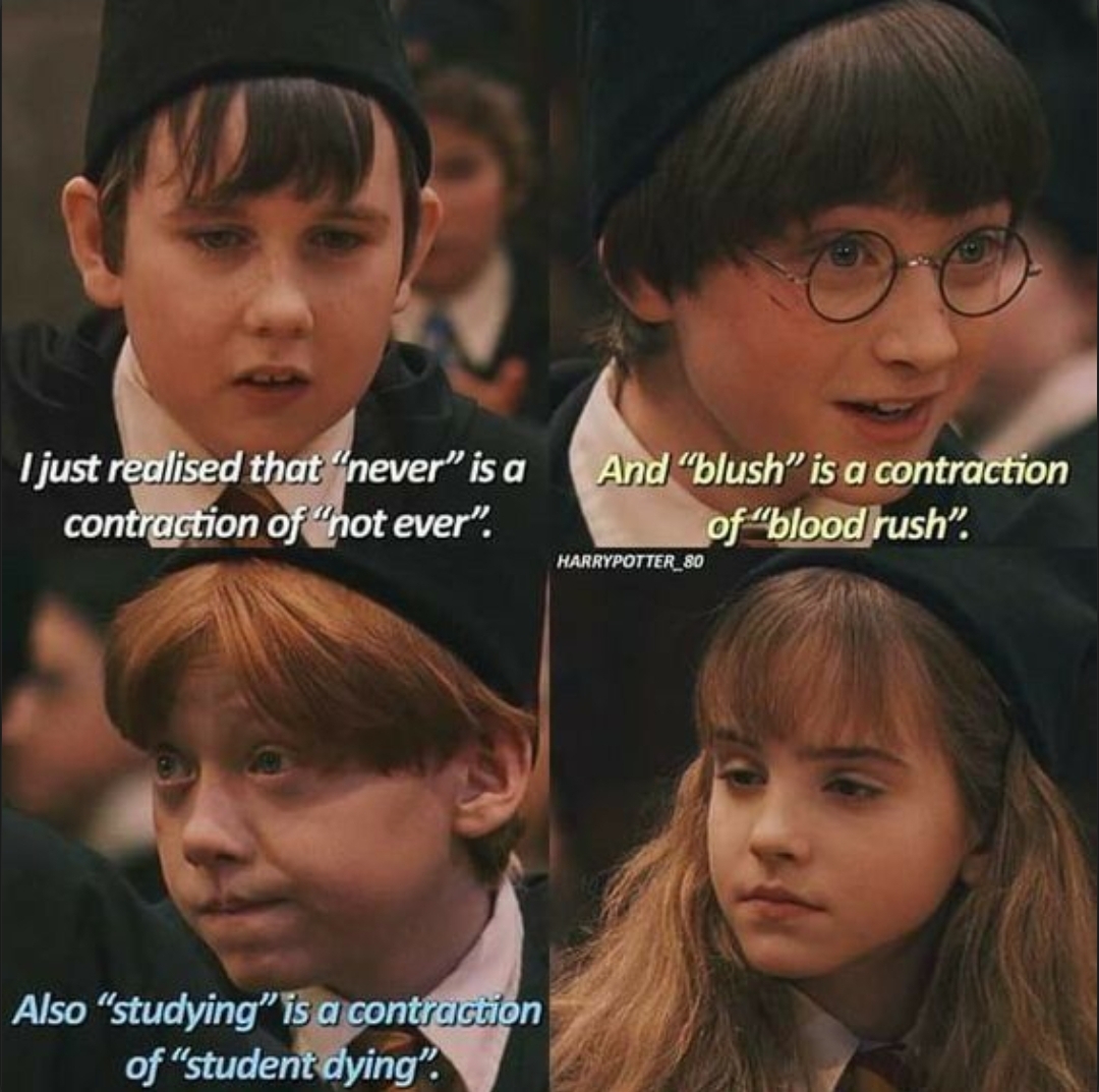 @harrypotterfan8507