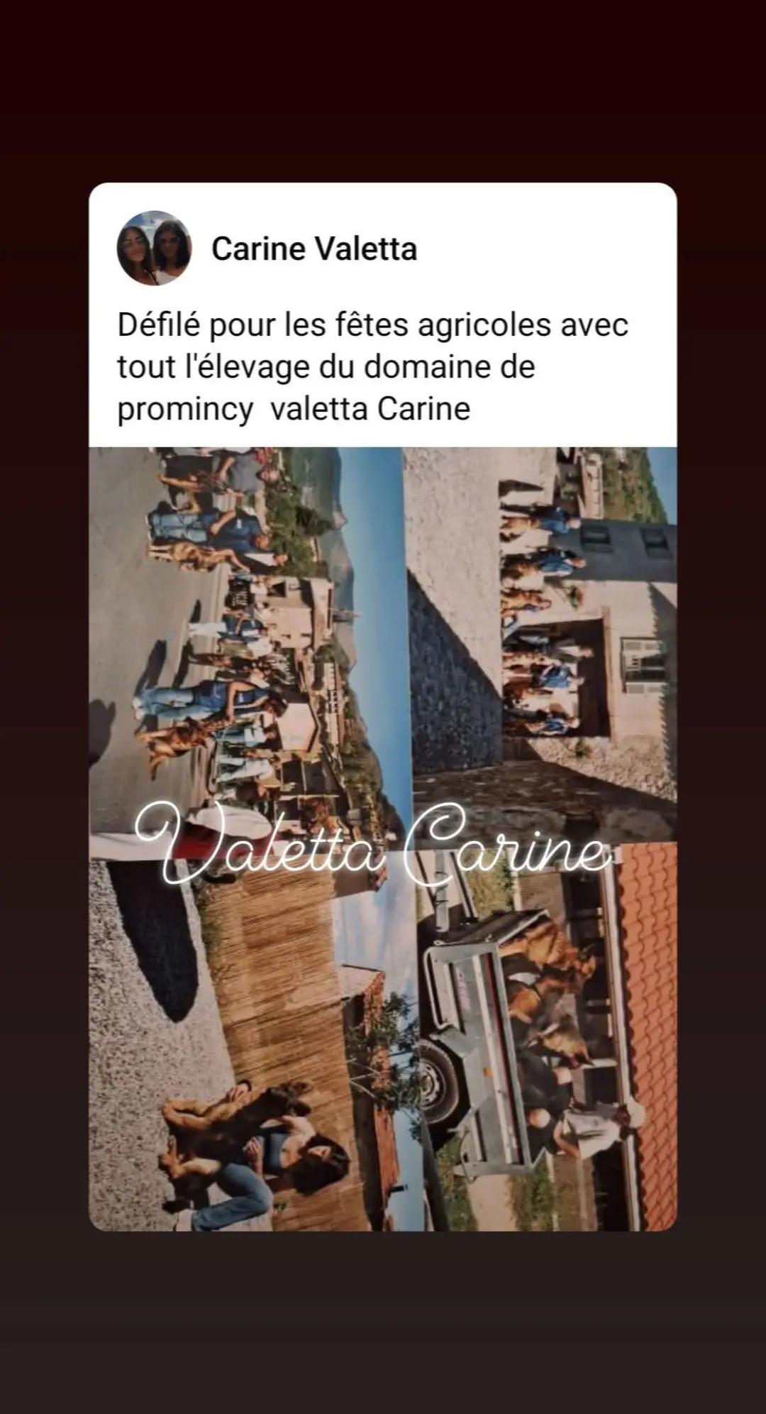 @domaine de promincy