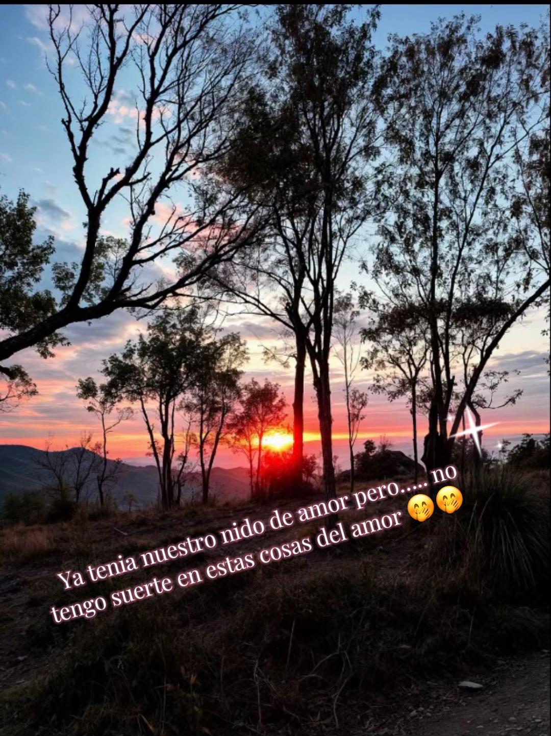 @Lizeth Bautista