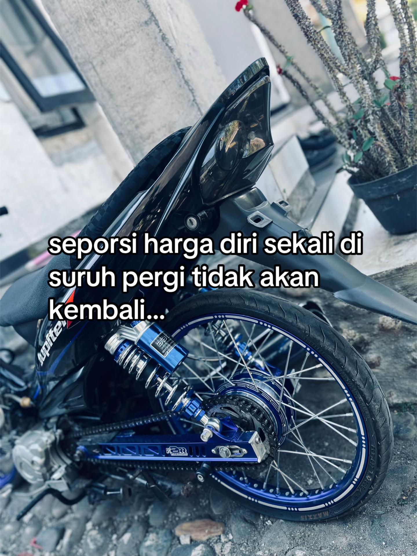@ᴠɪɴᴢɴᴅʀᴀᴀ🦄