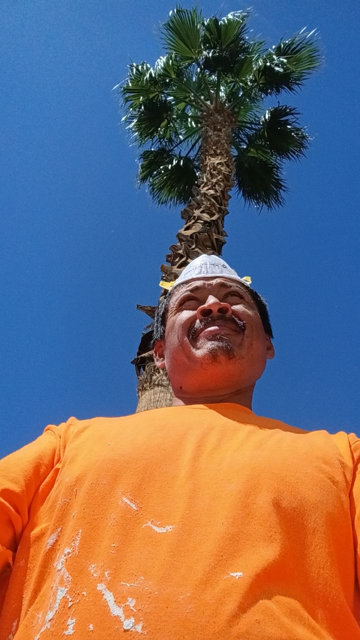@&Eacute;L ca&iacute;do