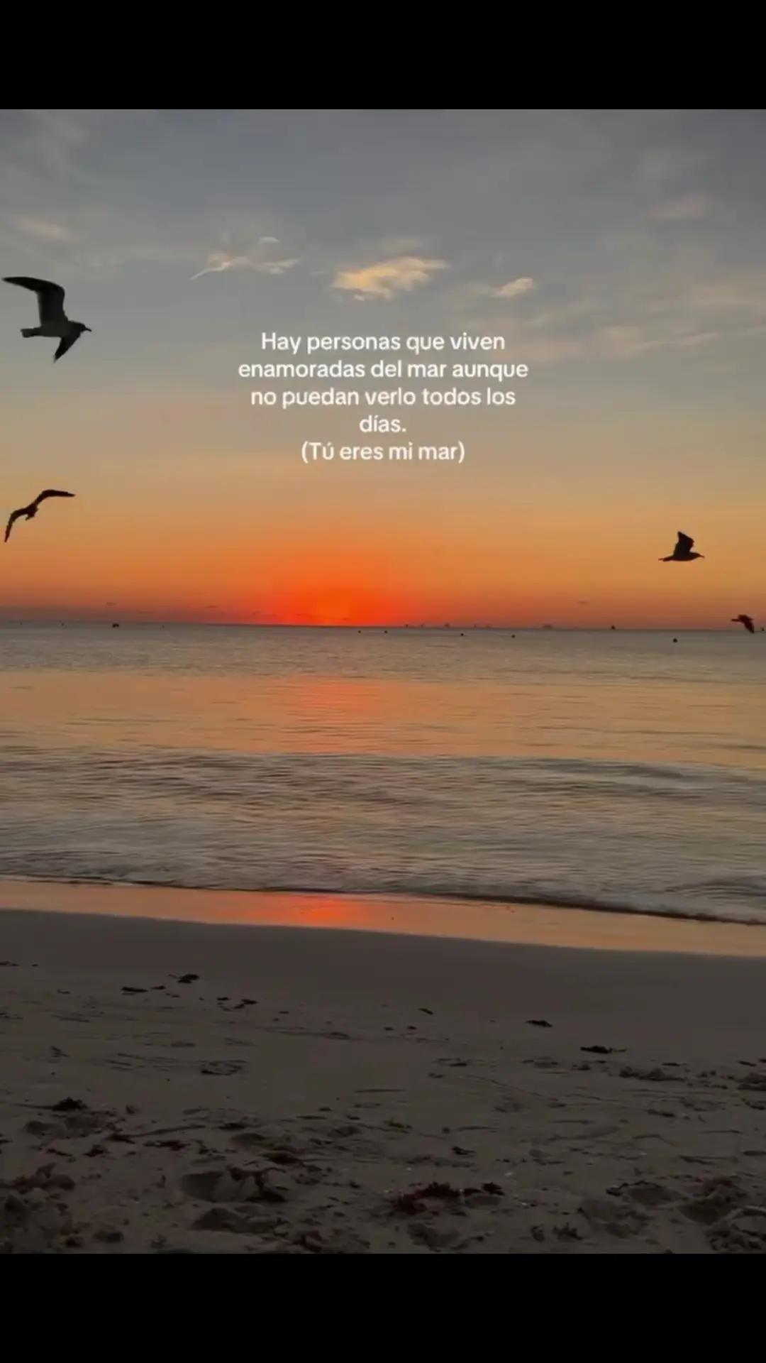 @MAURICIO Dom&iacute;nguez