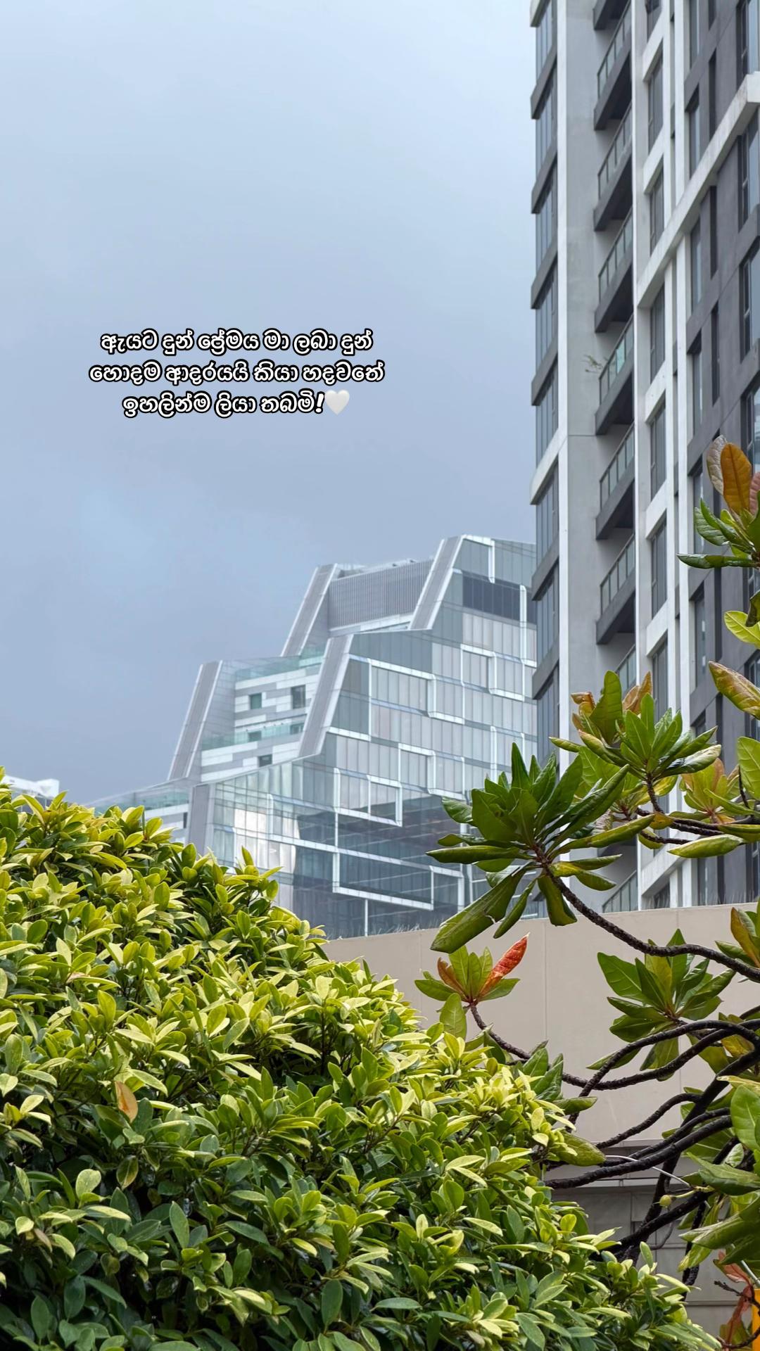 @Mihin Munasinghe