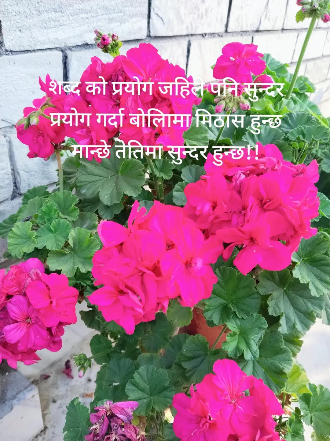 @Shaanti