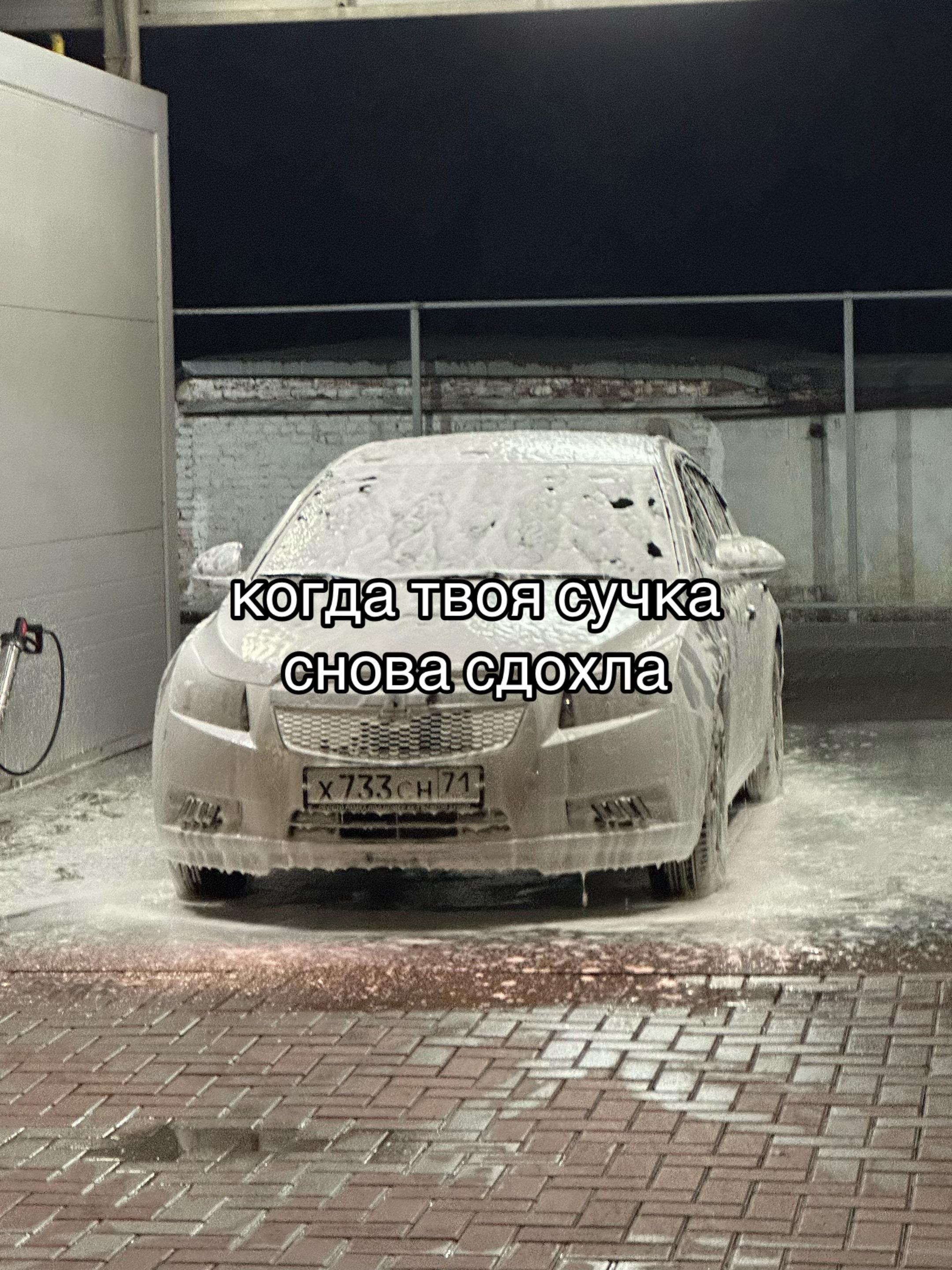 @Luxx_Polar