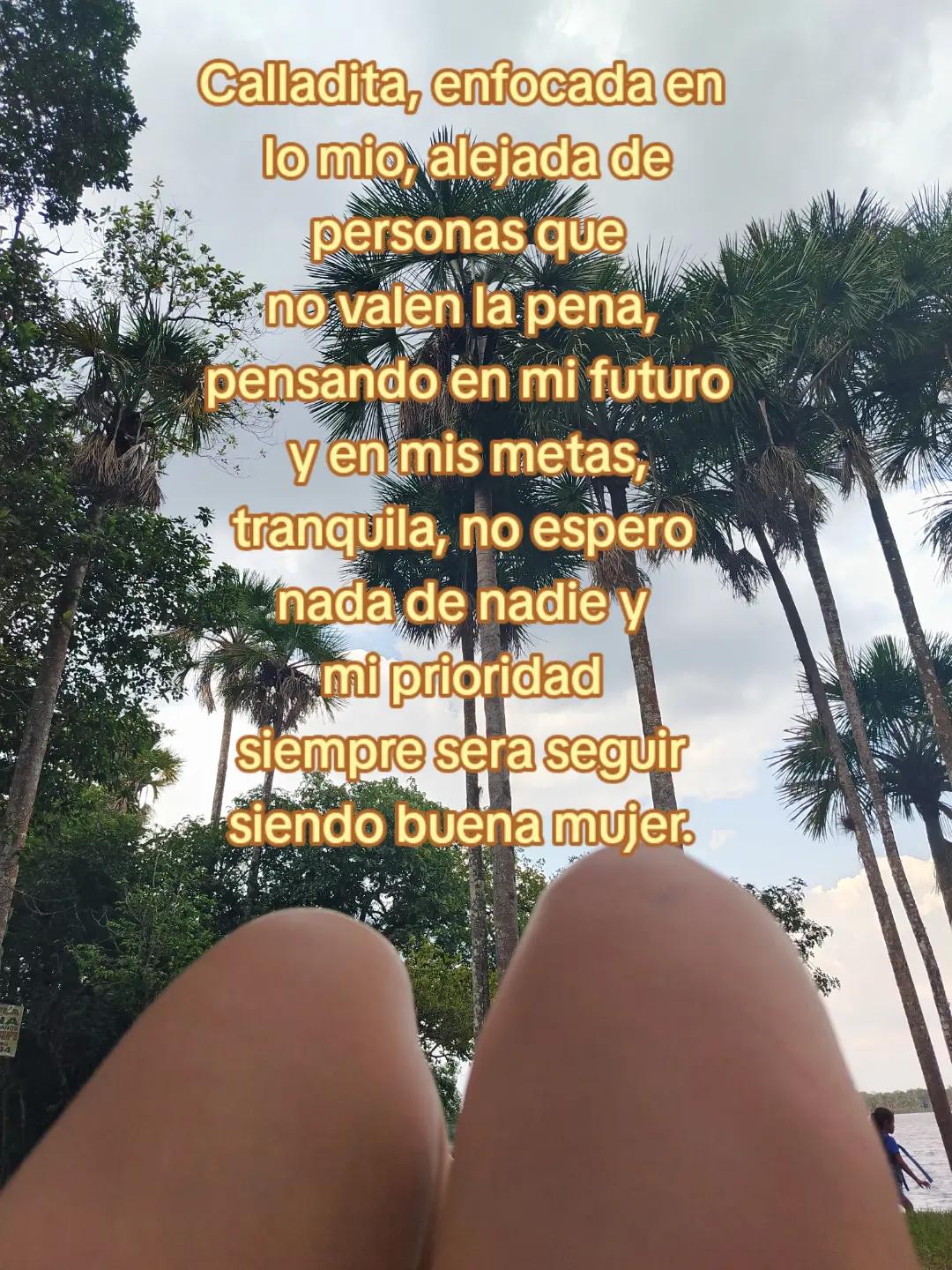 @lily