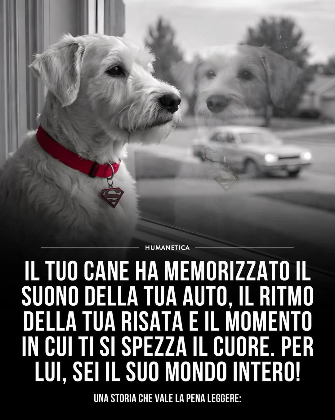 @Humanetica