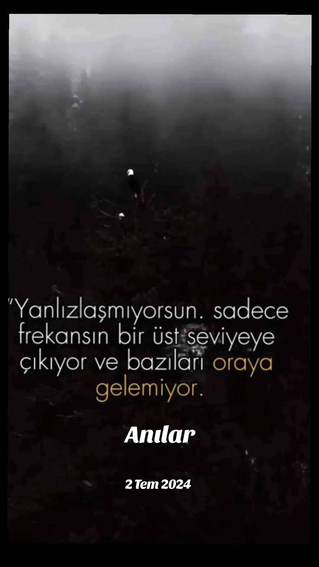 @Yasemin Başak Turan