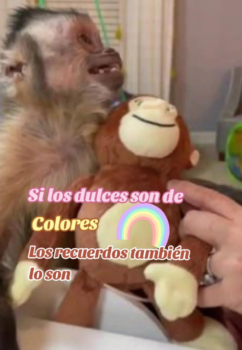 @ℙ𝕣𝕚𝕤𝕔𝕚𝕝𝕒🥰❤️🙉🙈🍌