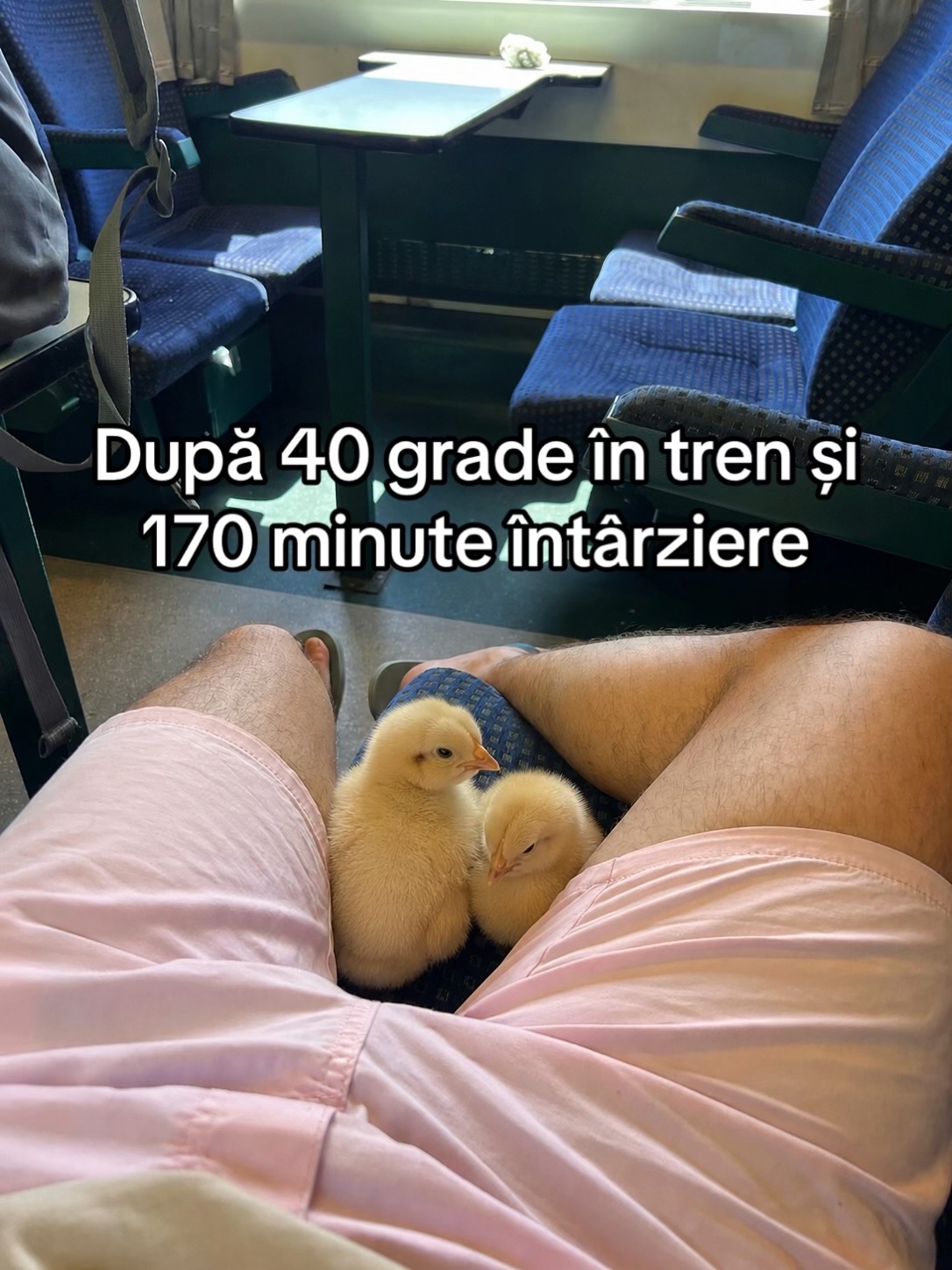 @ToniBaraitar