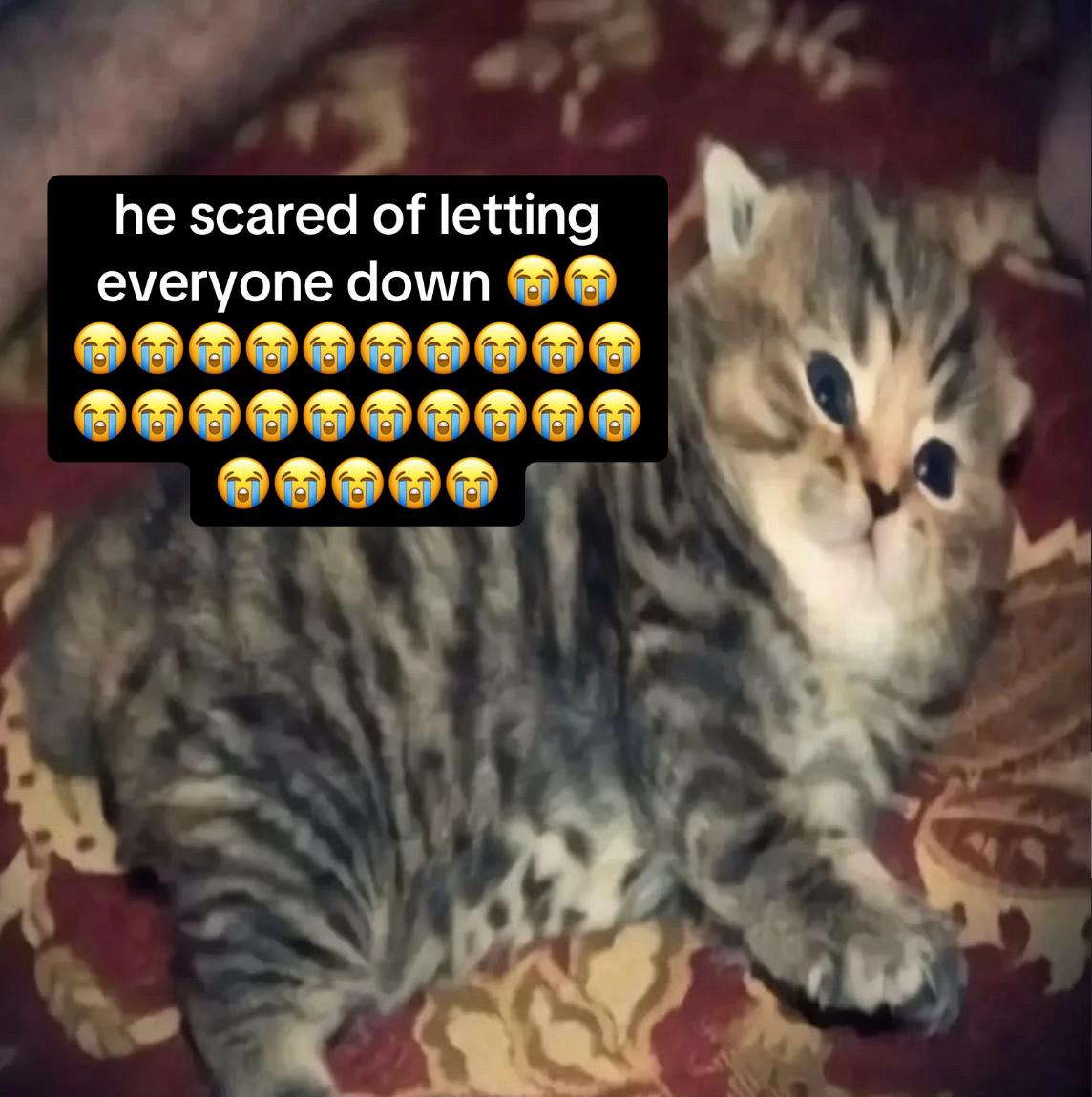 @plluto7