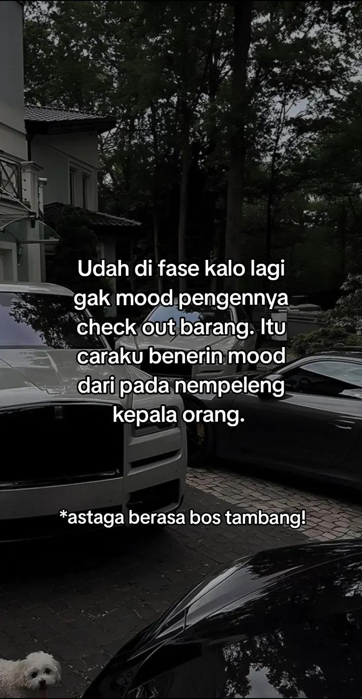 @saysorryformyself.