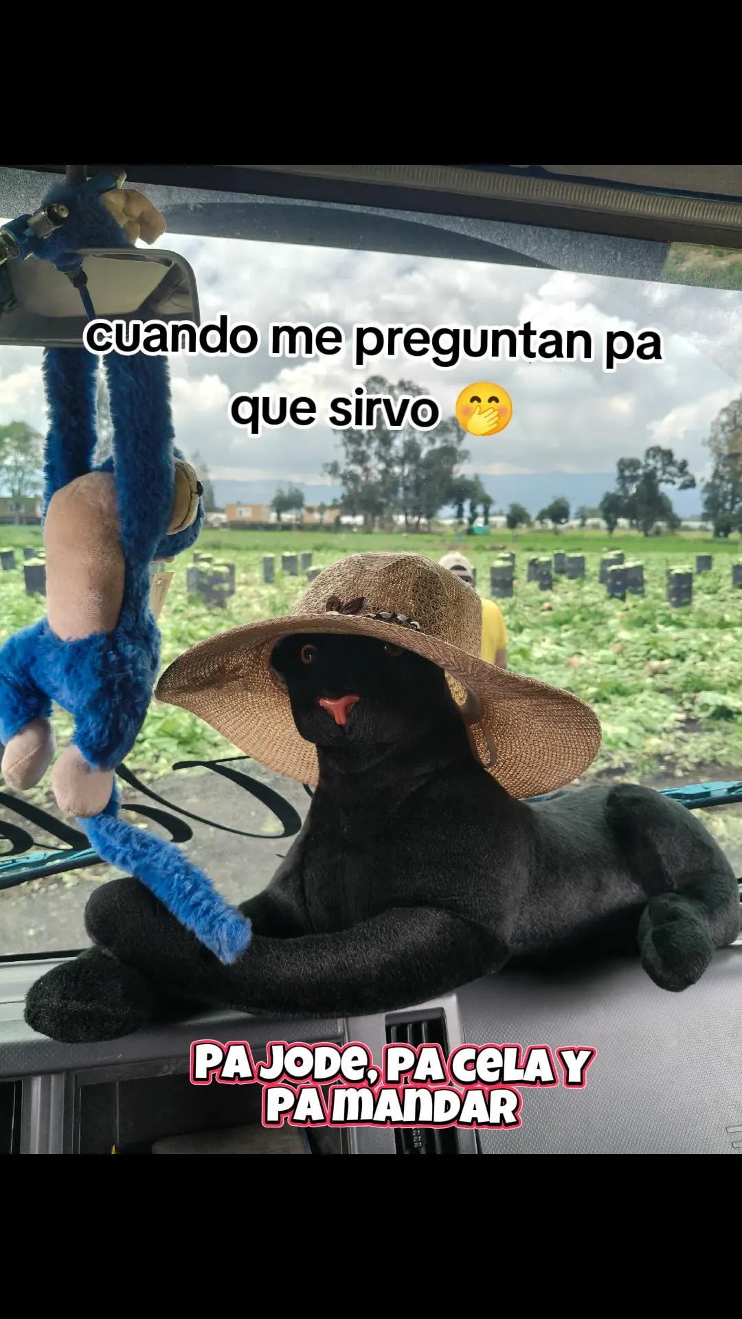 @rubiisiitac