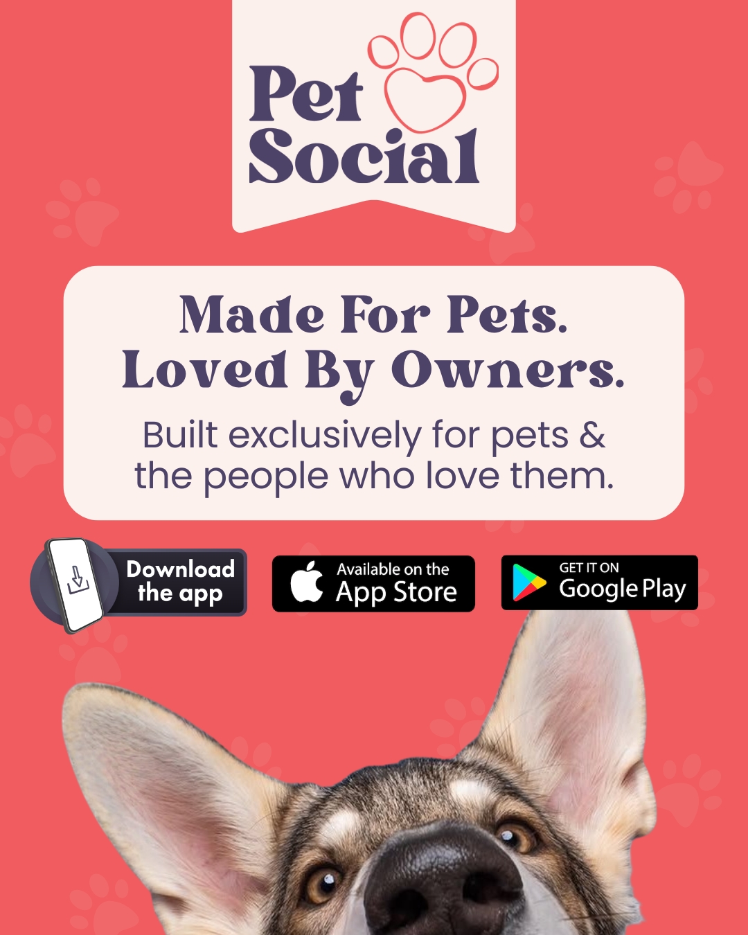 @Pet Social UK