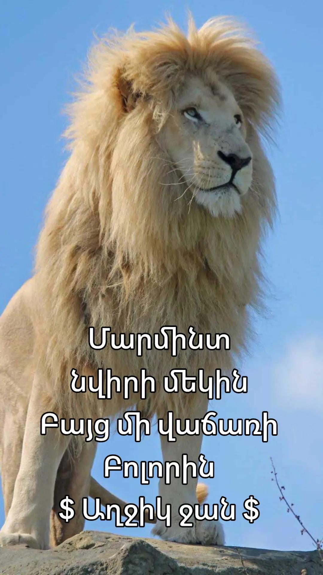 @🧸⚡Կայծ⚡🧸