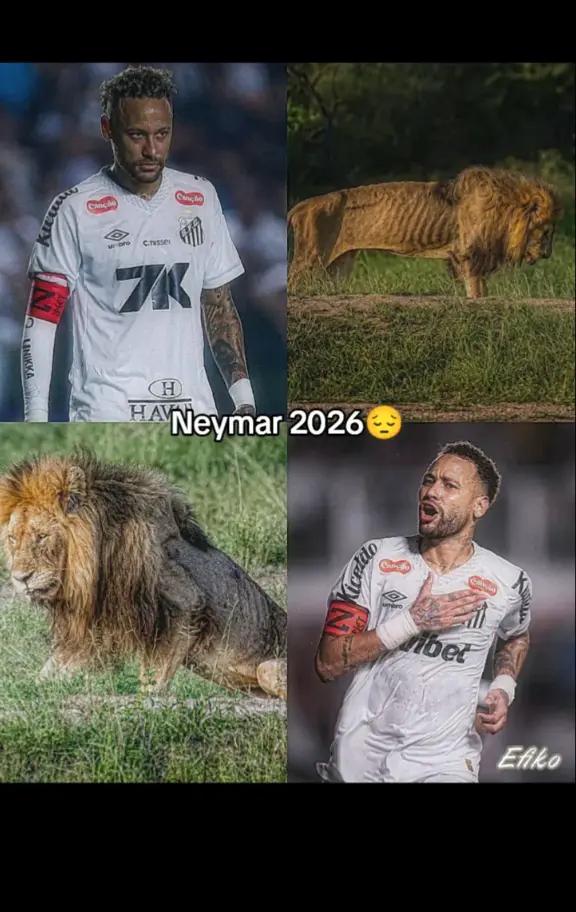 @keven Luan.