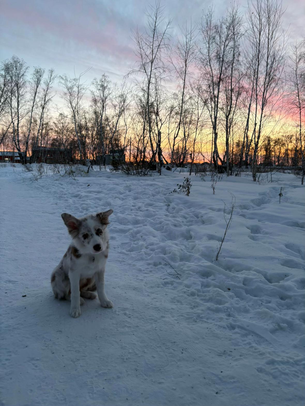 @Тгк: ⚡️🐾Хвостатый мир🐾⚡️