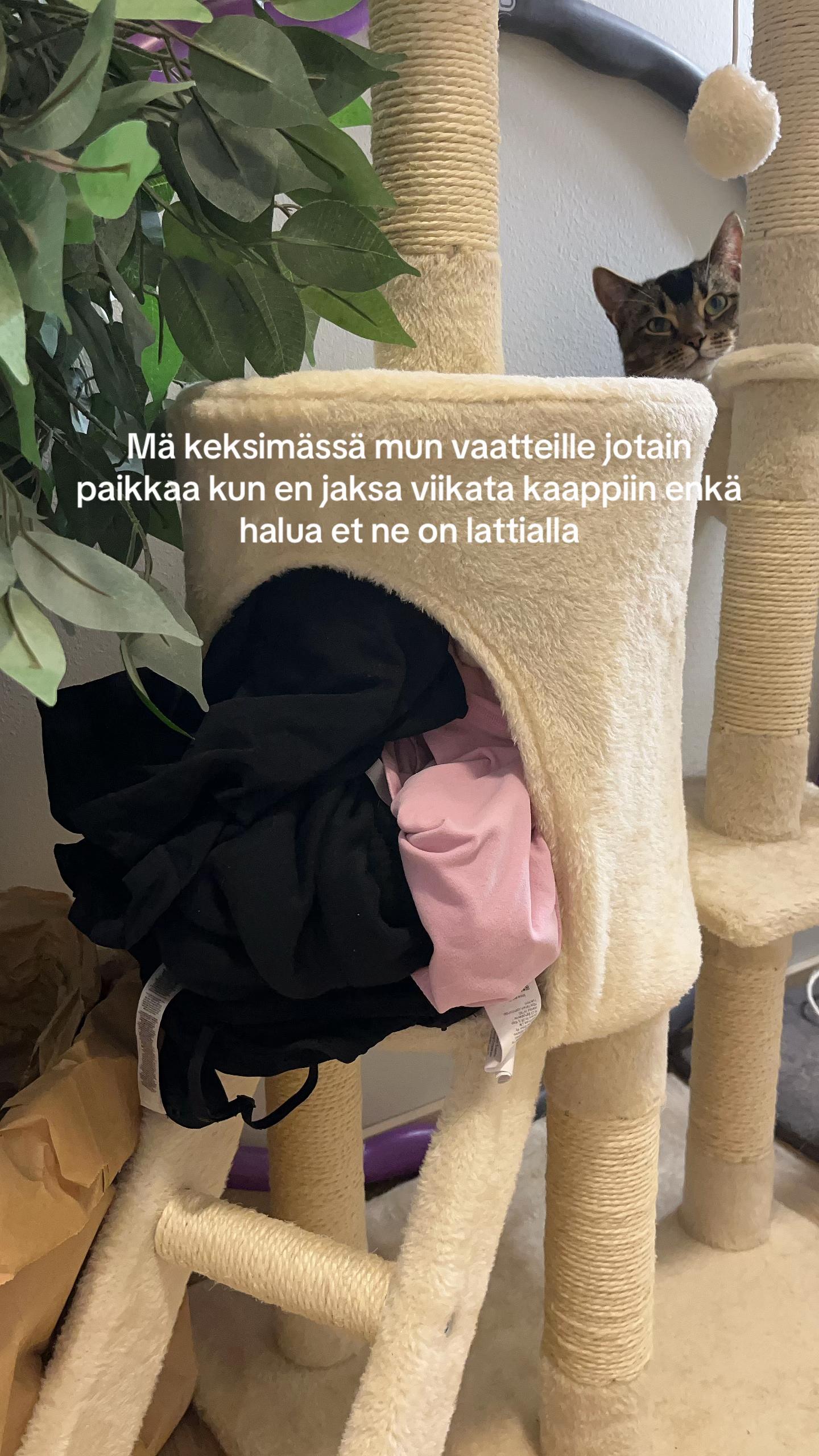 @ellasaikkonen
