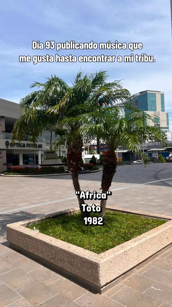 @oɿɘƚᴎiuỌ ʏbƎ