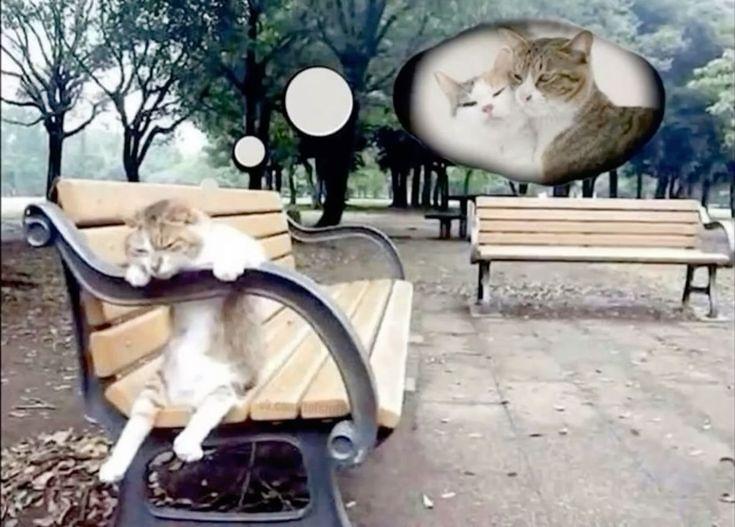 @♱