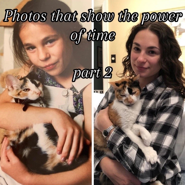 @randomamazingfunfacts