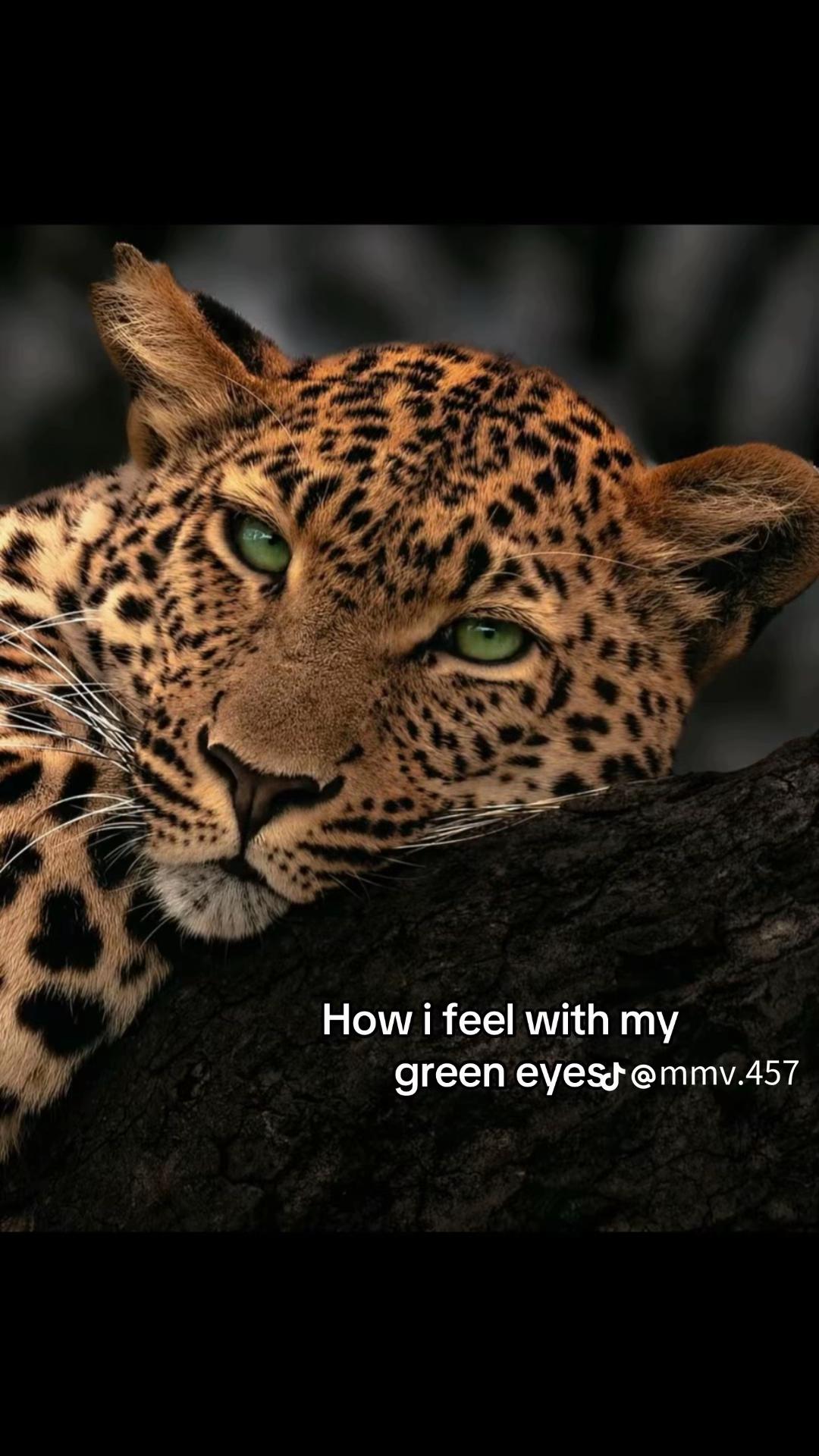 @rubess1124976