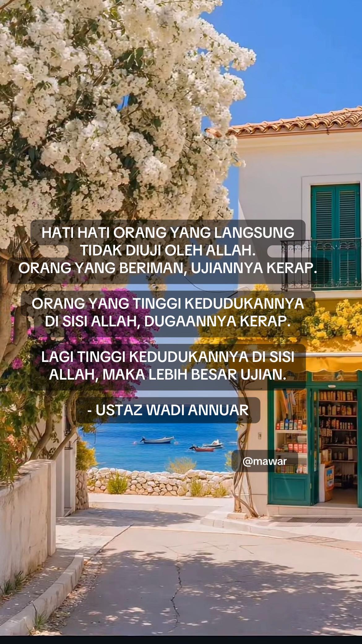 @Mawar