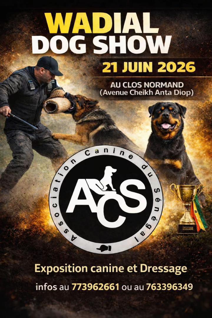 @Momoparleauxchiens🇸🇳🇩🇪