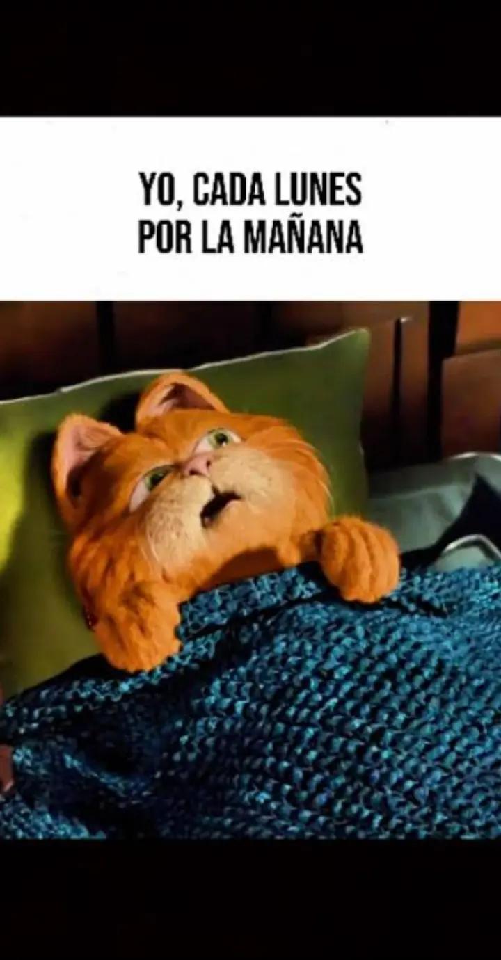 @Dark Angel 😇