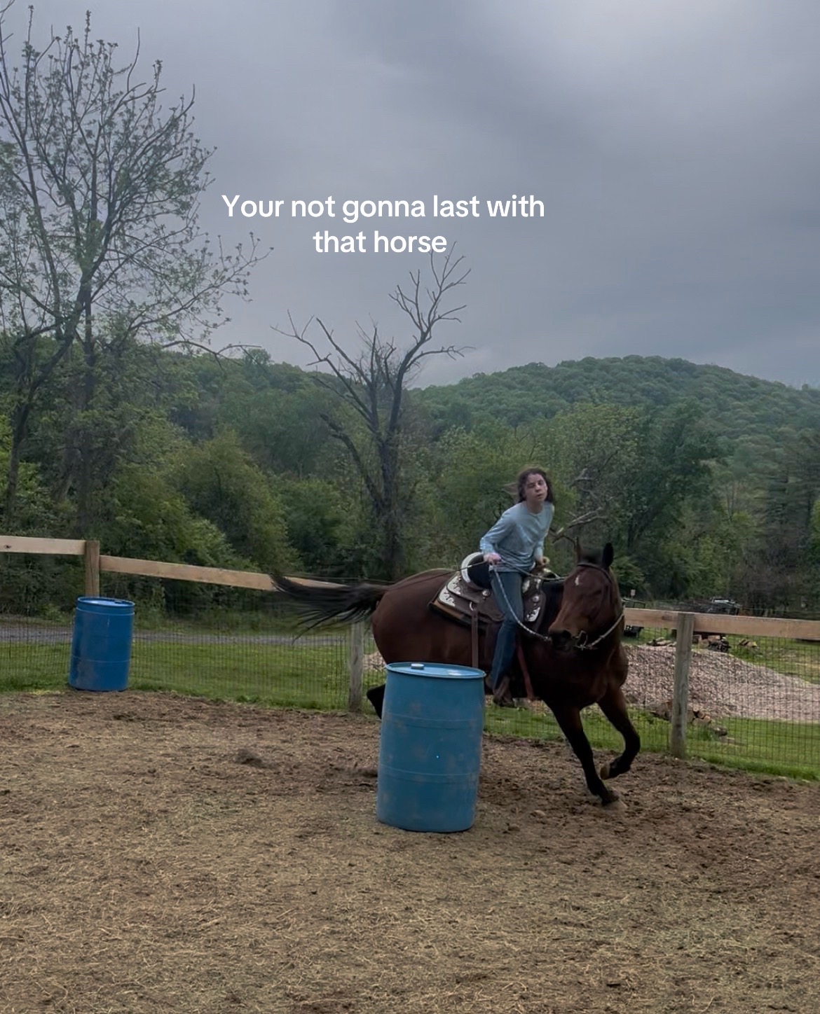 @Ava Steward