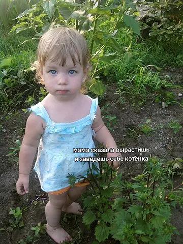 @аляска
