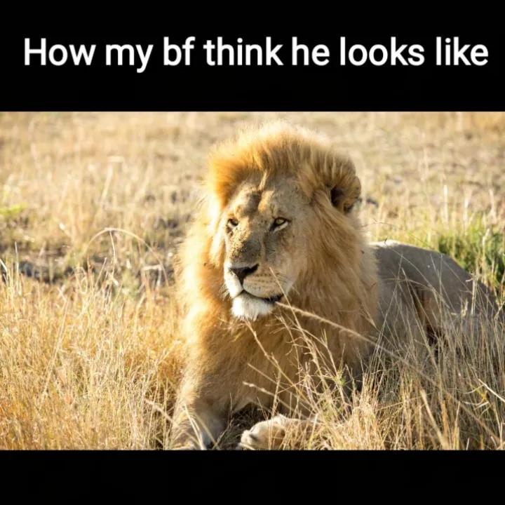@BabaBear