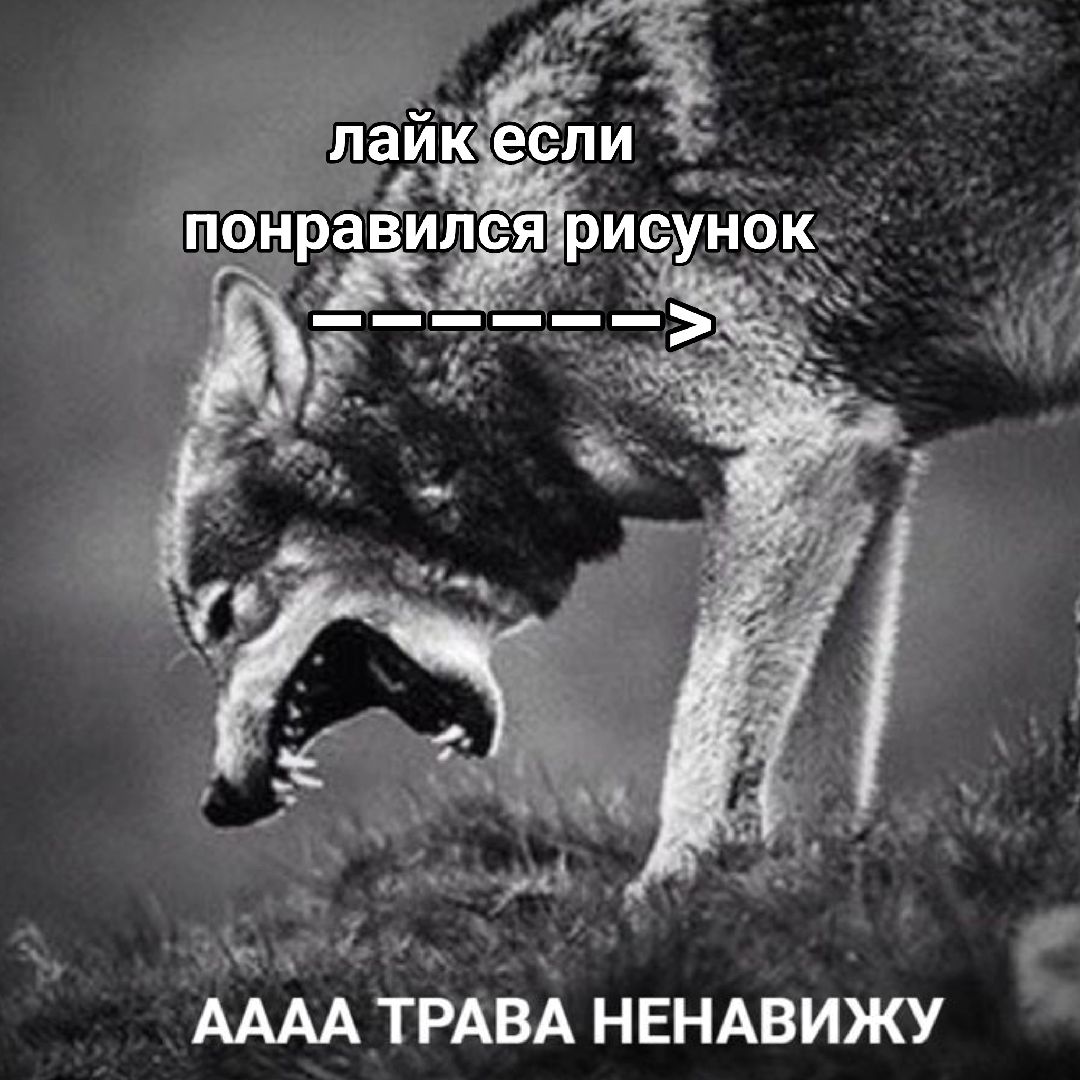 @шченок🍋🟩