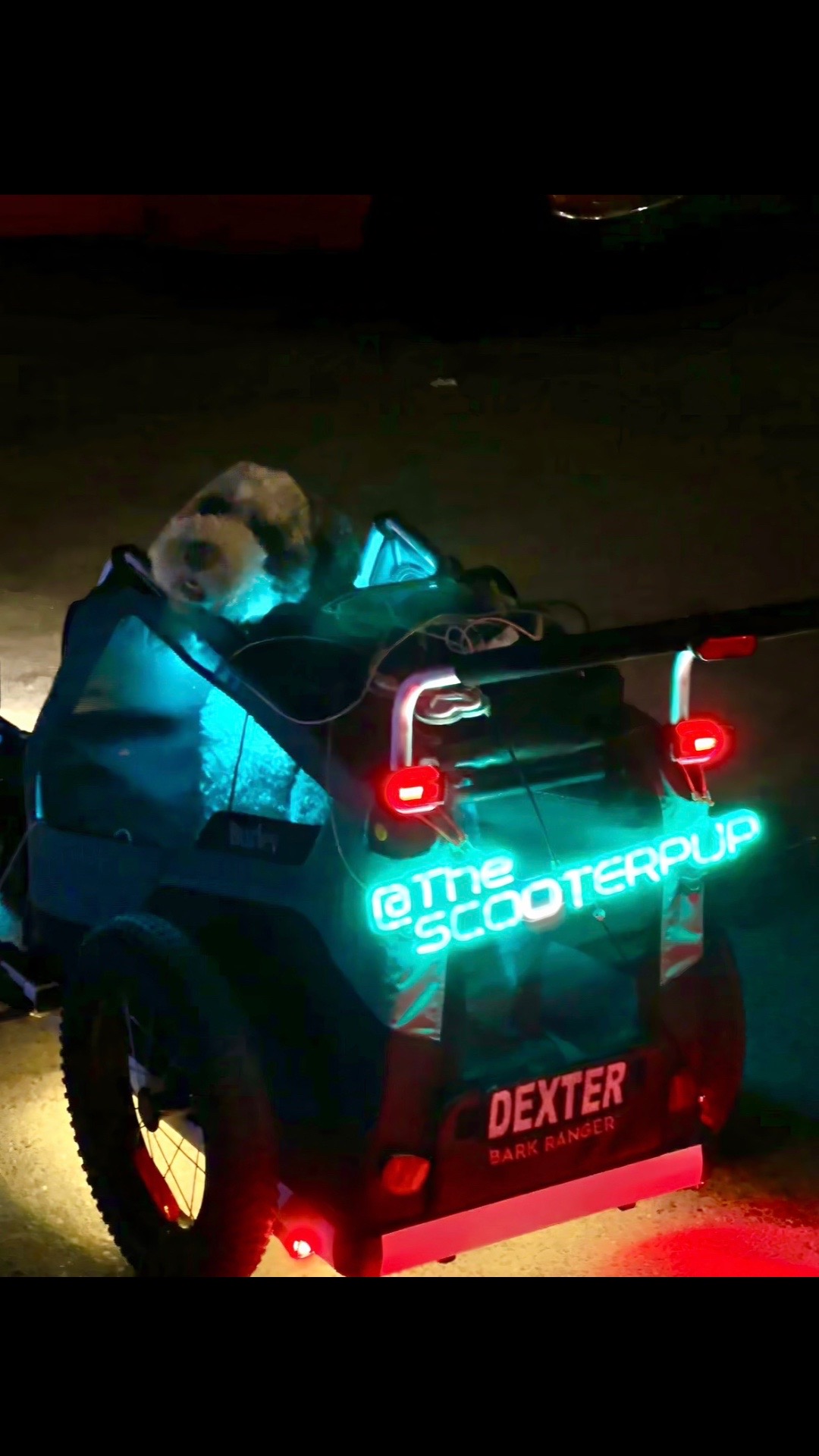 @TheScooterPup