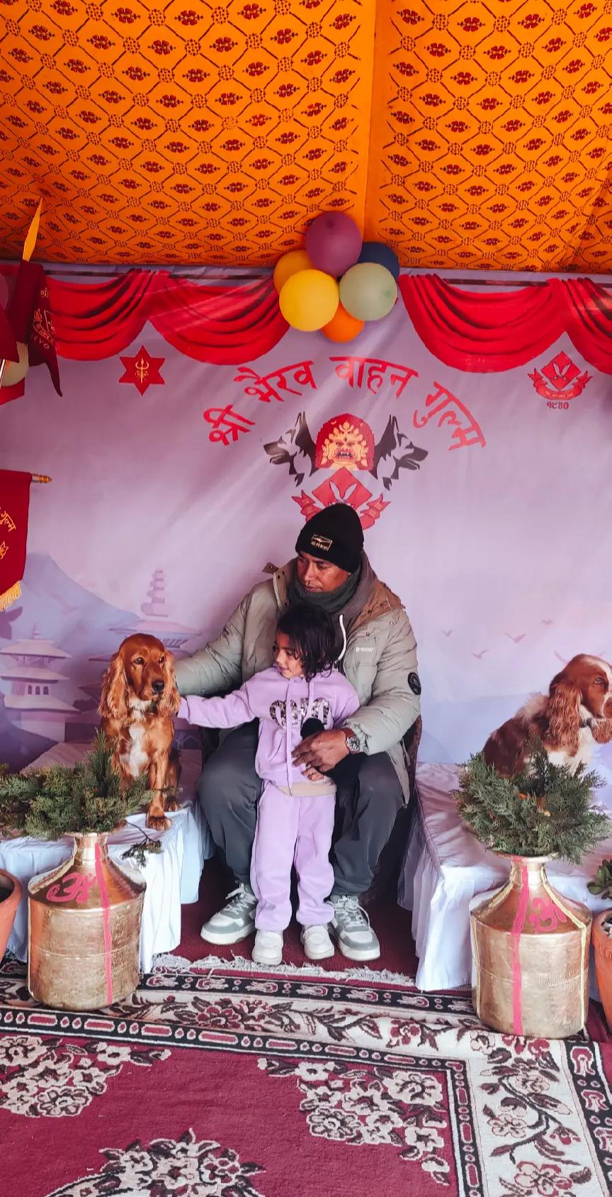 @rishitripathi127