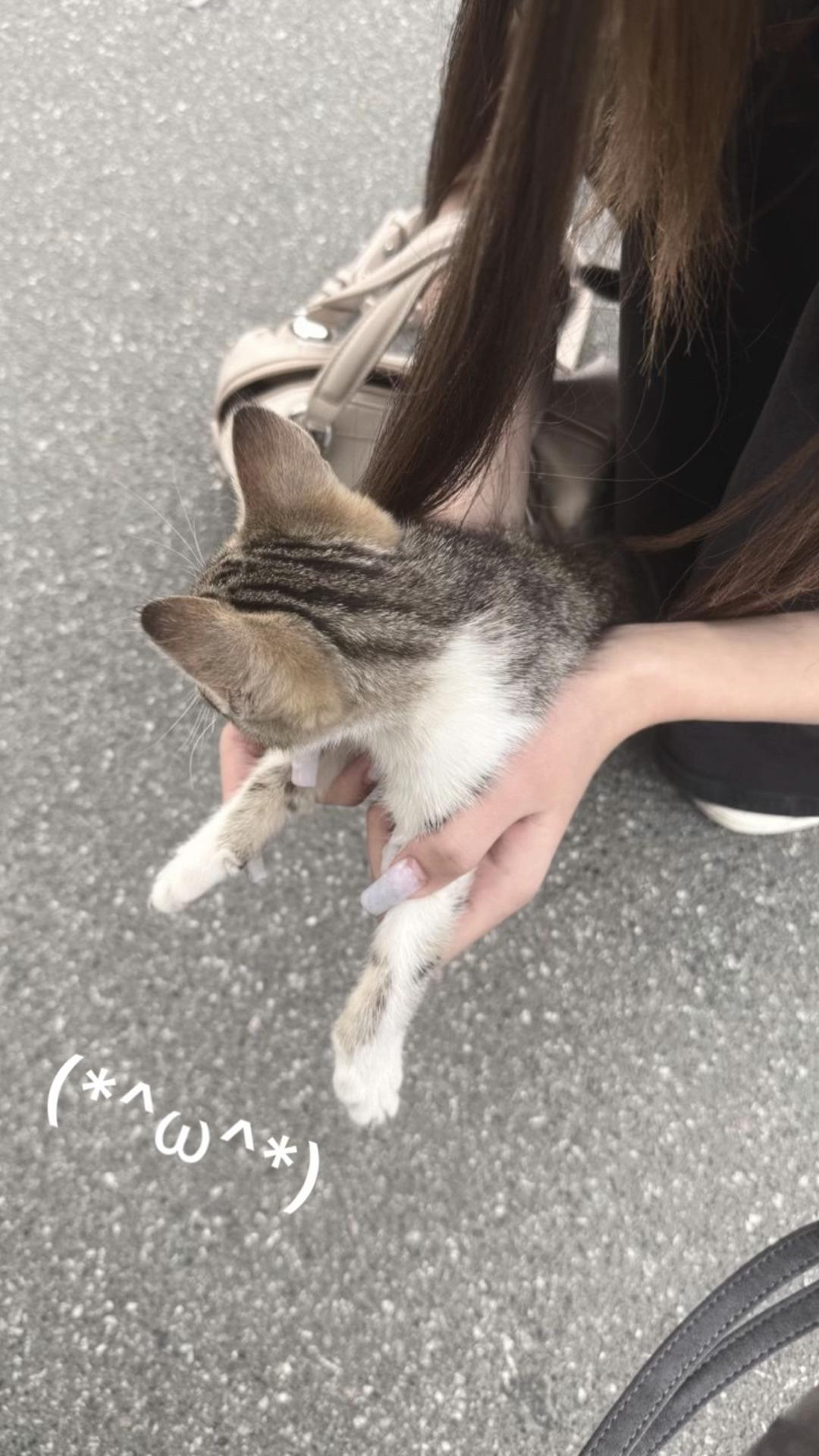 @eeew